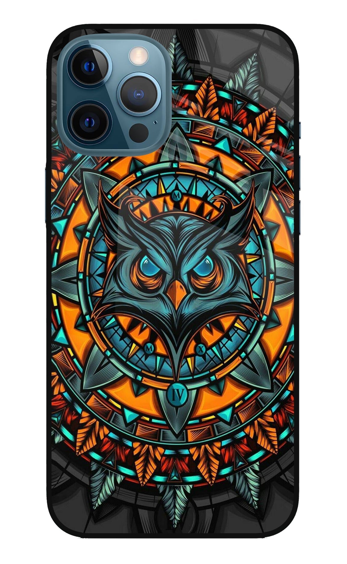 Angry Owl Art Case for iPhone 12 Pro Max