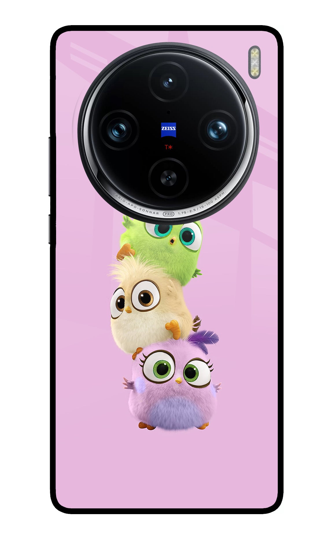 Cute Little Birds Case for Vivo X100 Pro