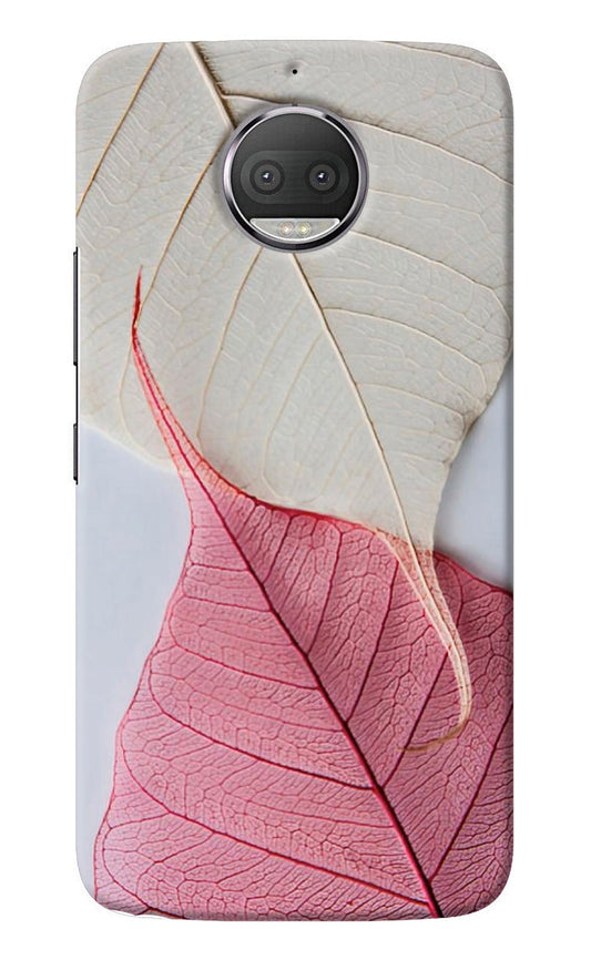 White Pink Leaf Moto G5S plus Back Cover