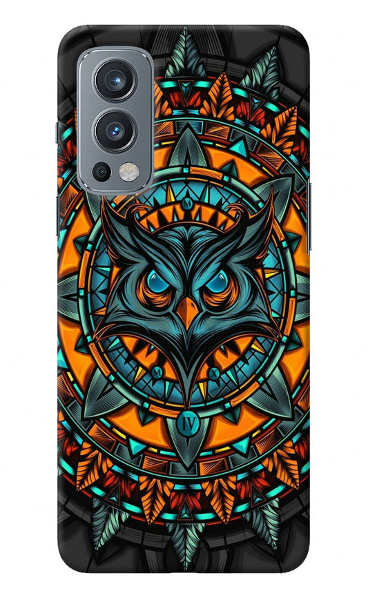 Angry Owl Art OnePlus Nord 2 5G Back Cover