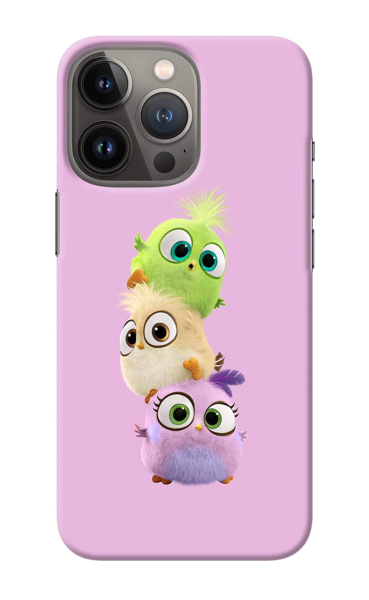 Cute Little Birds iPhone 13 Pro Max Back Cover