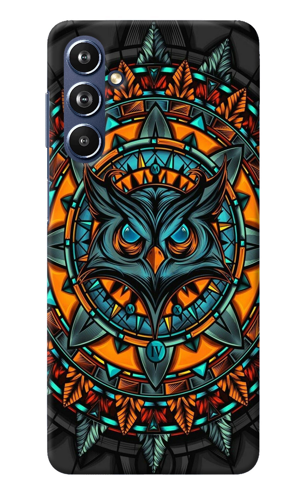 Angry Owl Art Samsung F54 5G Back Cover