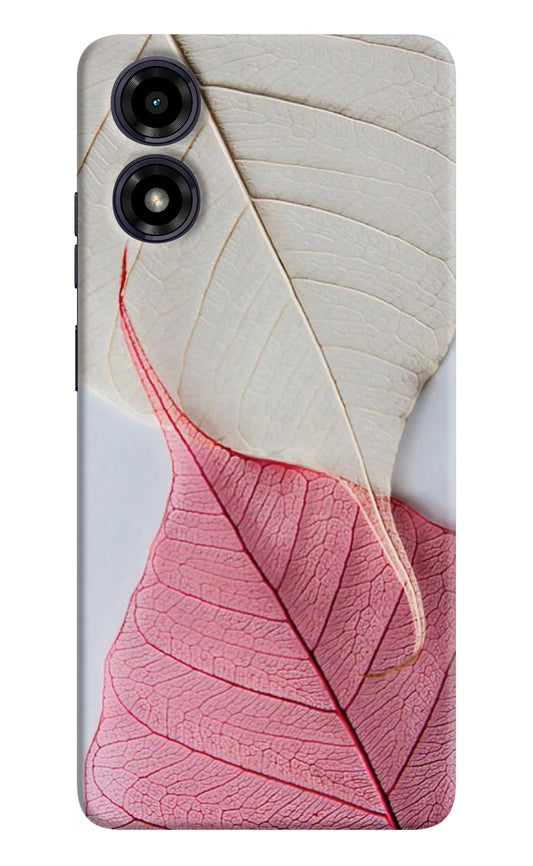 White Pink Leaf Moto G04 Back Cover