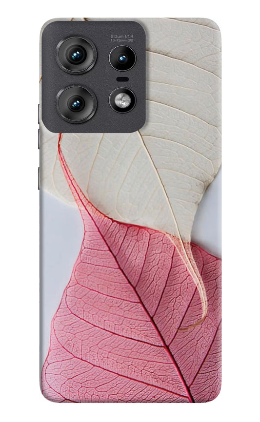White Pink Leaf Case for Moto Edge 50 Pro 5G by Casekaro