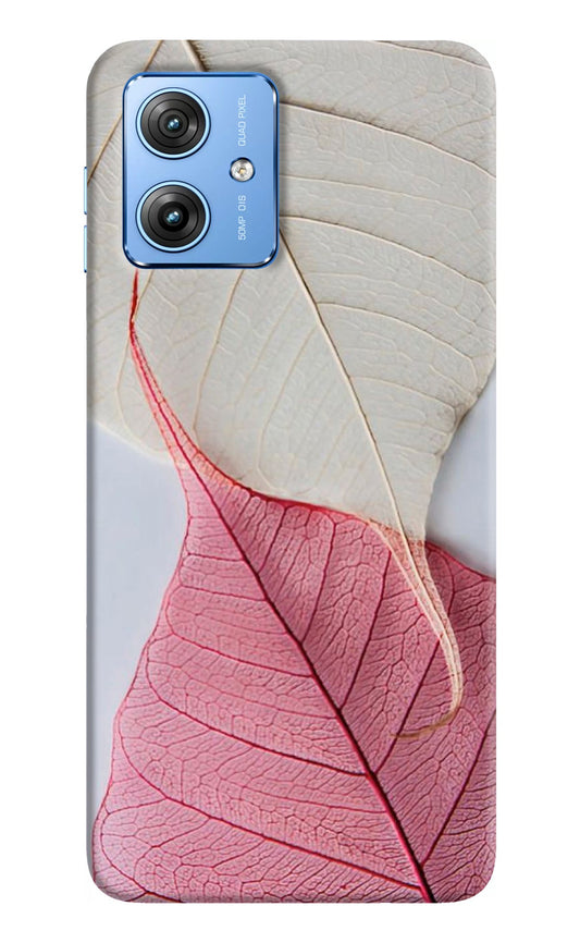 White Pink Leaf Moto G64 5G Back Cover