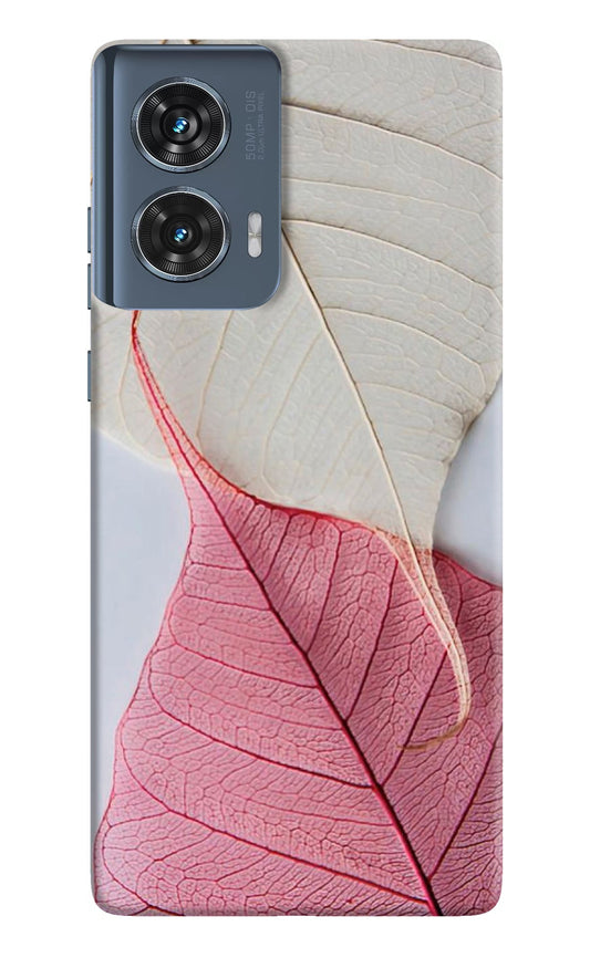 White Pink Leaf Moto Edge 50 Fusion Back Cover