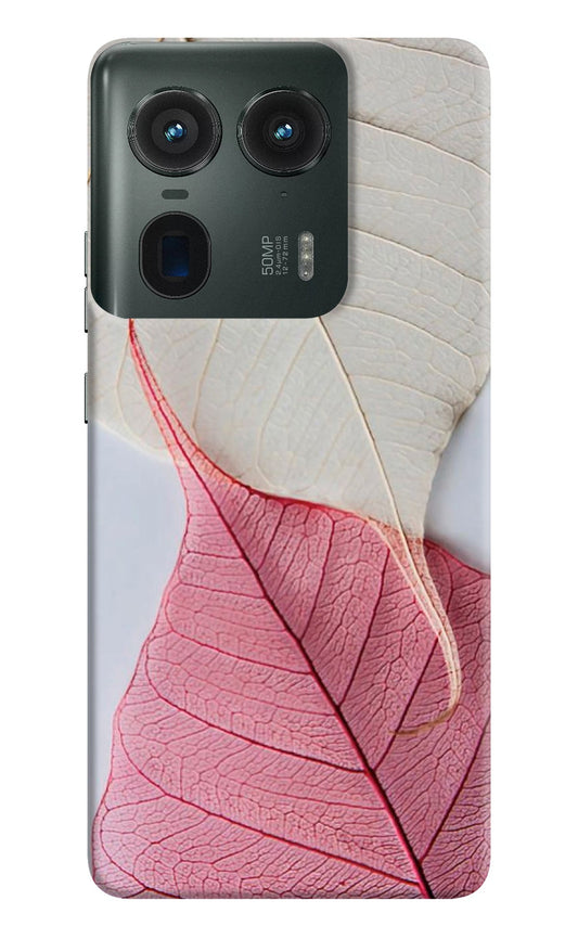 White Pink Leaf Moto Edge 50 Ultra 5G Back Cover