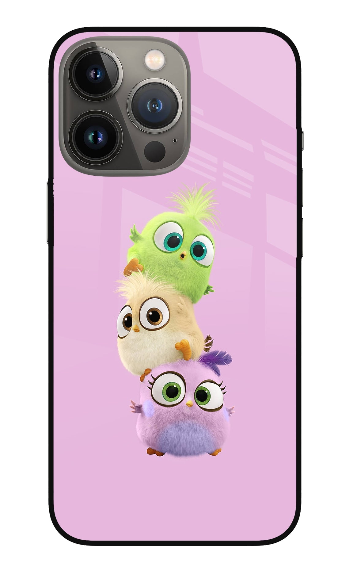 Cute Little Birds Case for iPhone 13 Pro