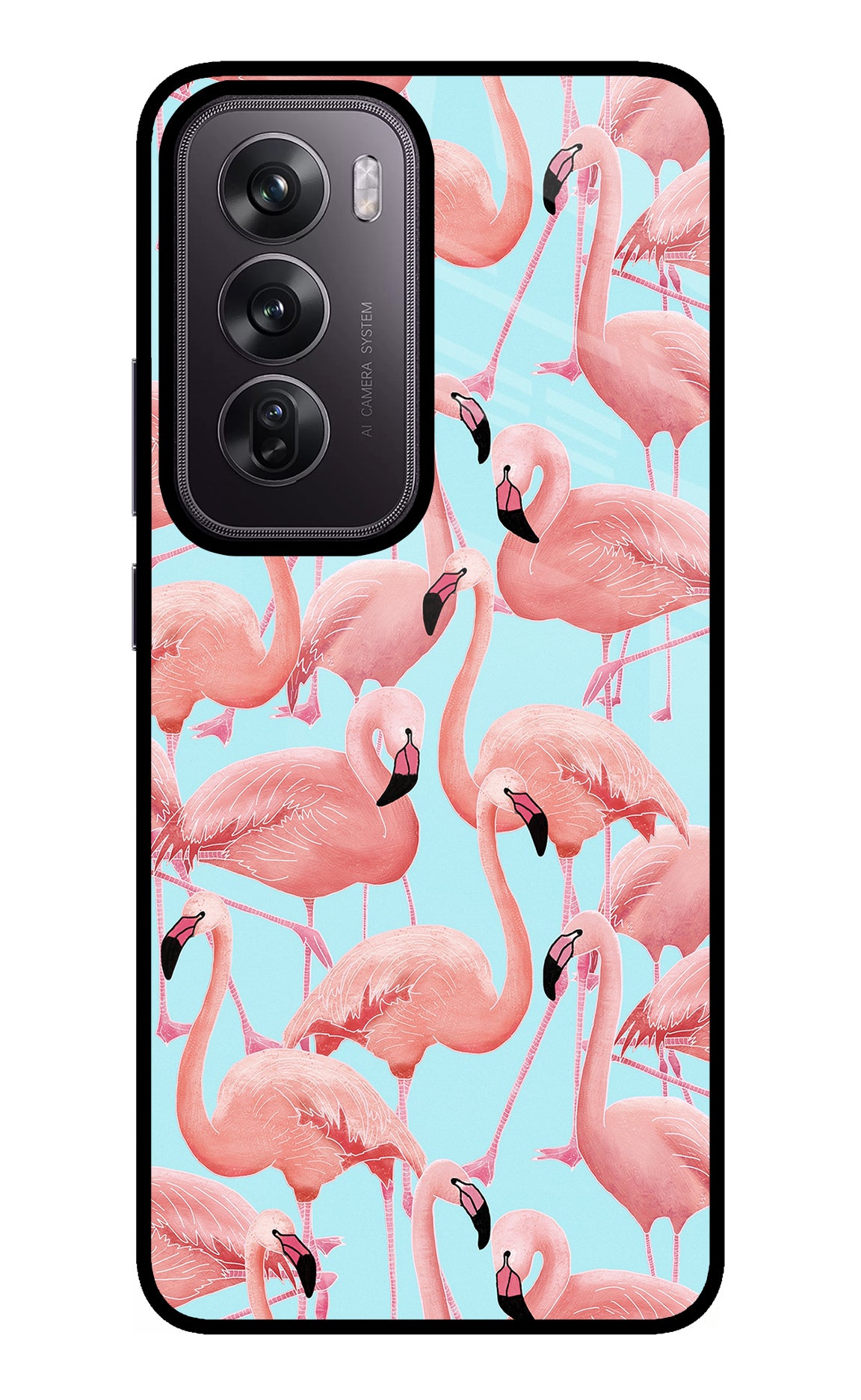 Flamboyance Oppo Reno12 Pro 5G Glass Case